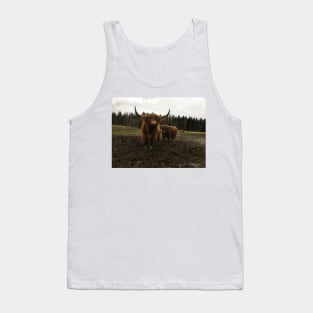 Scottish Highland Cattle Bulls 2174 Tank Top